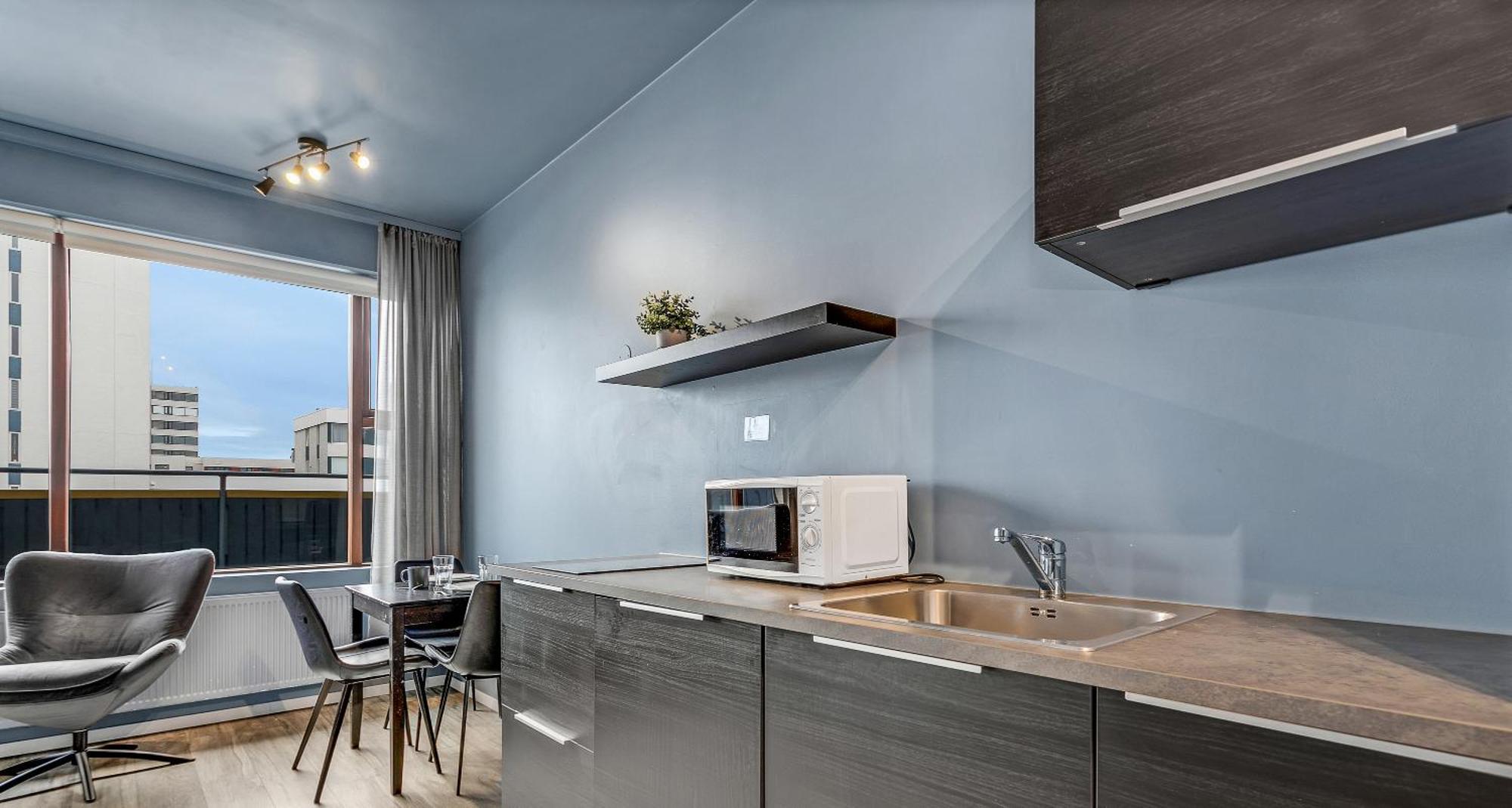רייקיאוויק Iceland Comfort Apartments By Heimaleiga חדר תמונה